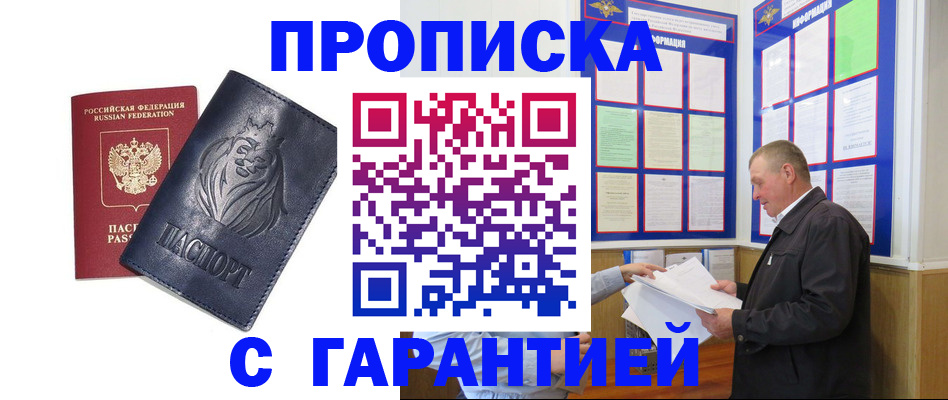 прописка поиск в Кингисеппе